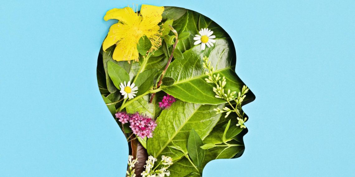 Text Effect: hiệu ứng đẹp mắt hoàn hảo trong biên tập video